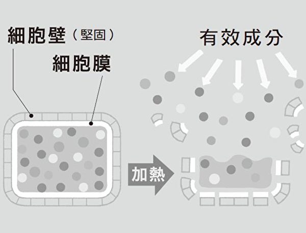 日抗癌权威 蔬菜煮汤喝 防癌效果最好 蔬菜煮汤喝 防癌效果最好