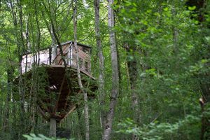 森林树屋成最火热Airbnb 预订队伍排到十月