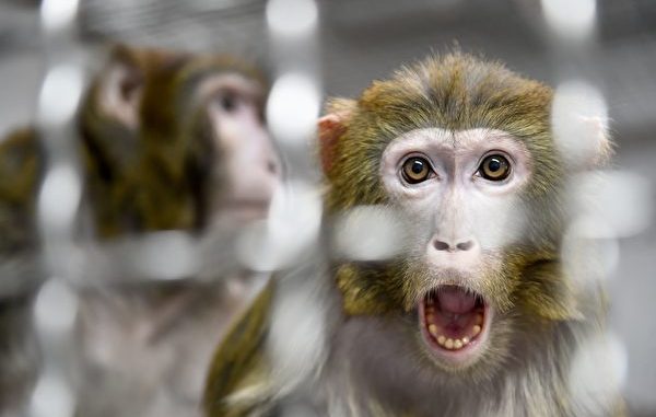 FRANCE-ANIMAL-ZOO-TOURISM