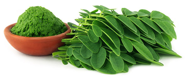Moringa leaves with paste on a brown bowl over white background