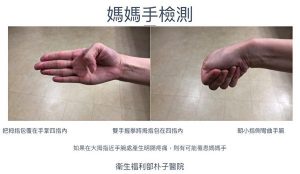 粽子_1