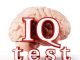 Human brain and IQ test text isolated on white background. 3D illustration