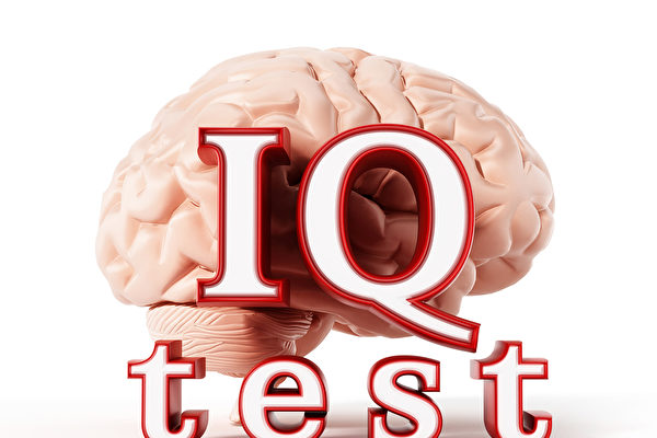 Human brain and IQ test text isolated on white background. 3D illustration