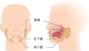 唾液