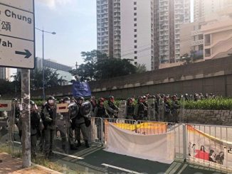 香港反送中, 亲共团体, 围殴民众