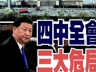 四中全会, 香港局势, 林郑月娥, 港澳办, 中联办, 反共