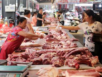 非洲猪瘟, 猪内脏, 贸易战, 中美贸易协议