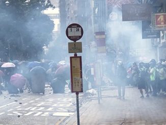 催泪弹, 皮肤病, 警方, 警犬, 香港, 鸟雀