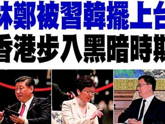 习近平, 林郑月娥, 韩正, 断错症 下错药