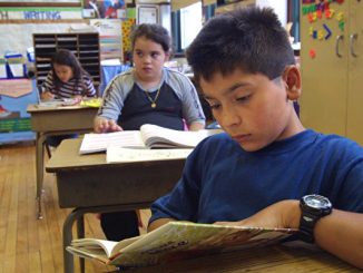 芝加哥一所小学的暑期班内，学生们在阅读书籍。（Tim Boyle/Getty Images）
