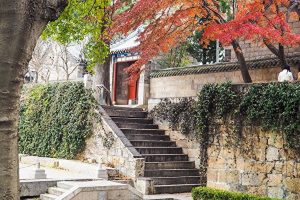 《聊斋志异》之崂山道士续：忘记初衷 前功尽弃