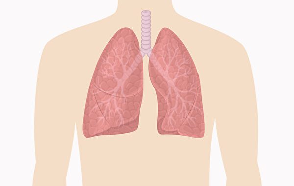 肺功能 检测 肺病