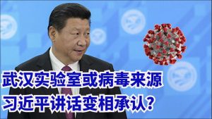 【时事追踪】武汉肺炎报道（九）武汉实验室或是病毒来源 习近平讲话变相承认