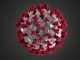 美国疾病控制与预防中心（CDC）创建的冠状病毒（中共病毒）的超微结构。