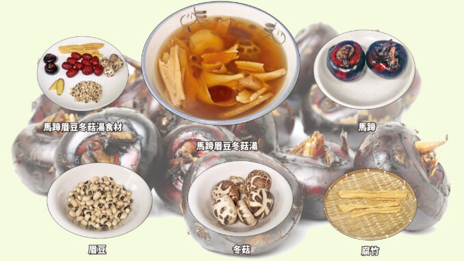 一锅马蹄眉豆冬菇汤