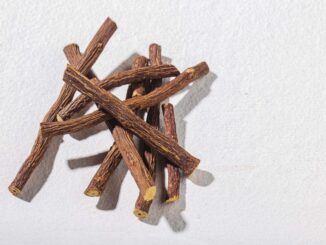 甘草根与甘草片