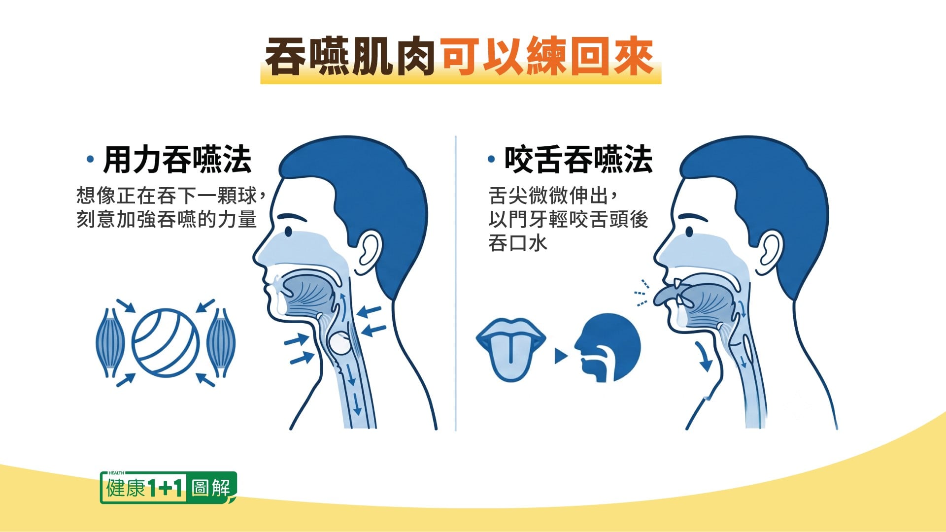 用力吞咽法与咬舌吞咽法示意图