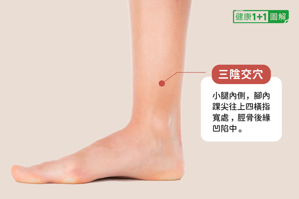 三阴交穴位置示意图